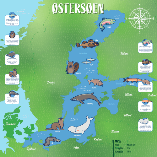 Oestersoeen 100×100 Oestersoeen 100x100