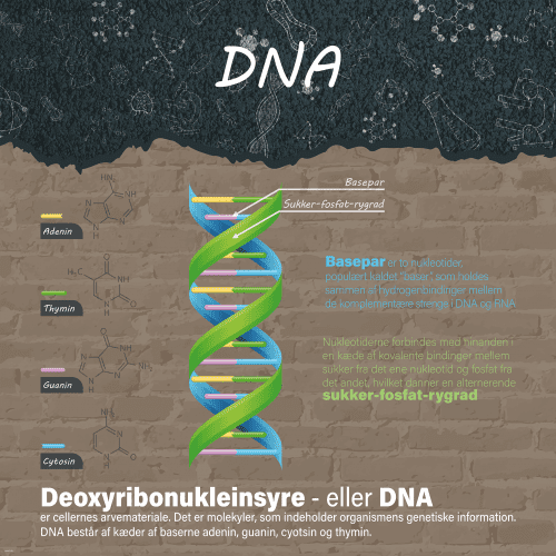 dna1000x1000 g 3 dna1000x1000 g 3
